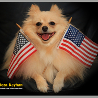 WE LOVE USA - HAPPY 4TH OF JULY 2011