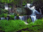 Sawkill_Falls