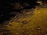 Raindrops