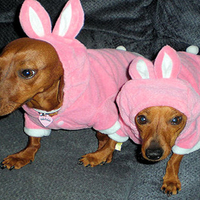 Mommies Little Easter Angels