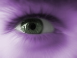 Oeil