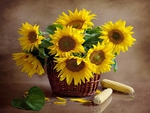 Sunflowers