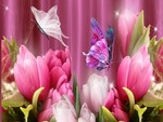Tulips and Butterflies