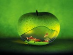 APPLE-FISHBOWL