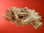 Cerussite