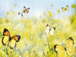 Yellow Butterflies F2