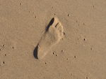 Footprint In The Sand