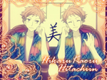 Hikaru and Kaoru The Hitachiin Twins