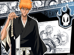 bleach desktop