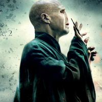 Voldemort Hp7 Part 2