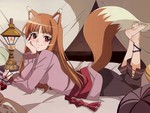 spice and wolf