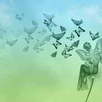 Butterfly dreams