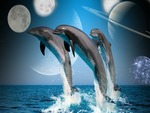Moons And Dolphins