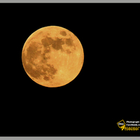 Full Moon in Los Angeles
