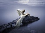 Dreamer angel