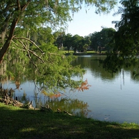 lake at Florida