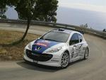 peugeot 207 s2000
