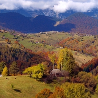 Romania - Rucar - Bran