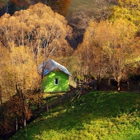 Romania - Rucar - Bran