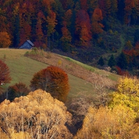 Romania - Rucar - Bran