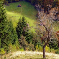 Romania - Rucar - Bran