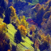 Romania - Rucar - Bran