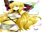 Xillia Beauty