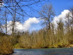 Green River near Enumclaw, WA