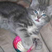 My name is Embry ~ so nice to meet you!