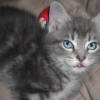 Embry looking a little like 'The Grinch'