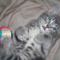 Embry waking up from a little napper