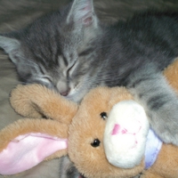 Embry and Snuggle Bunny