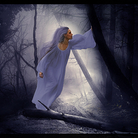 Gardian of the forest