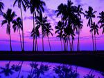 purple sunset
