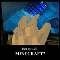 Too Much Minecraft