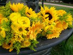 sunflower bouquet