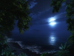 moonlit beach
