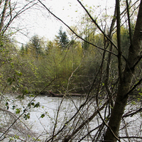 Stuck River Springtime