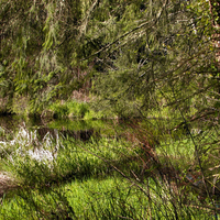 The lakeshore is extremely busy