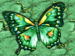 Abstract Green Butterfly F2