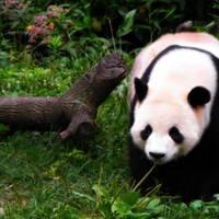 â™«HAPPY BIRTHDAY~â™¥SHAYNAâ™¥â™ª(leo19)~July 25Th,2011}