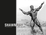 shawn ray