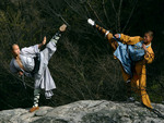 shaolin monks