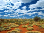 great sandy desert