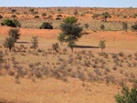 kalahari-desert-botswana