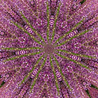 5th center span orbit- Karen