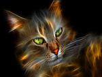 Beautiful 3D Cat