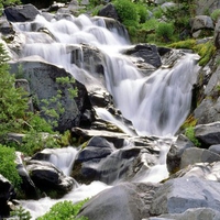 Paradise River,Mount Rainier National Park, Washington