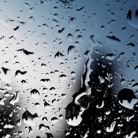 Raindrops | This is a RARE WALLPAPER!