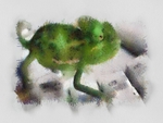 Chameleon